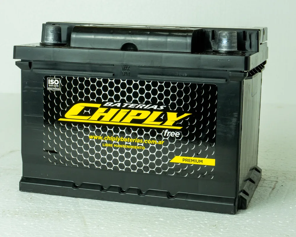 Chiply 12067