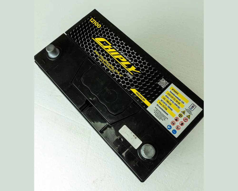 Chiply 12100, vista 2