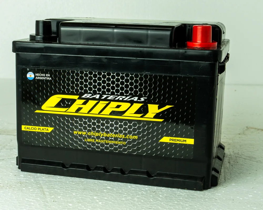 Chiply 65B